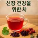 청류푸드 | 신장 건강에 좋은 청류차, 효능과 누구에게 도움이 될까?