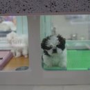 인천우리병원 이미지