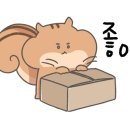 에스아쿠아 이미지