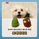 포에버퍼피 | 강아지 크리스마스 케이크 추천 택배배송 가능한 포에버퍼피 수제 강아지 케이크 후기