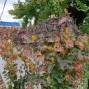 동인천의료기 이미지