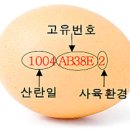 행정용 1번 | 유정란 난각1번 계란 구매 후기 양계장청년