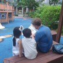 어바웃리더스 | 잉글리시 에그, 튼튼영어, 디즈니월드 잉글리시 비교