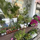 우리꽃집&카페 이미지