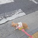 행복만복이