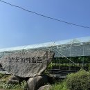 교문숯불장어 | 경남 합천 글램핑장 바베큐 무한리필 몸만 가면 되는 곳 은하수글램핑&카라반