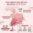 법인김천숲 | 2026 벚꽃 개화시기 전국 만개 지도 & 명소 추천 TOP 5 실패 없는 봄 여행 꿀팁