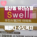유진카 | 일산서구 누수업체: 유진스웰2단지 아파트 베란다 수도꼭지 교체 및 누수 점검!