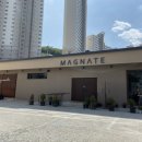 매그네이트 이미지