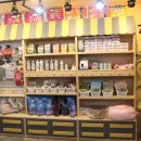 코오롱애견 이미지