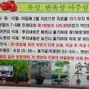 천장농약사