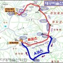 제148차(4월28일) 대구 비슬산 산행안내 이미지