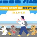 다녀올개 이미지