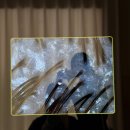 에코헤어샵 | 코엑스 삼성 미용실 에코쟈뎅 18Step 두피 트리트먼트 솔직 후기 (강희선 부원장님)