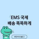 EMS 세관신고 국제 배송 똑똑하게 하는 법