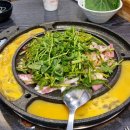 신사역 직장인이 인정한 신사랑318쭈꾸미&amp;닭갈비, 신사역 맛집 추천!
