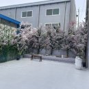 비올렛베이커리 이미지