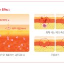 이노팜(주) 이미지
