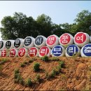 상백1리 마을회관 이미지