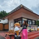 아이렌트카 | 후쿠오카 아이와 가볼만한곳 후쿠오카 사파리 렌트카 투어 후기