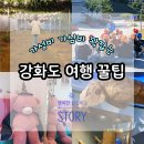 금풍농장 | 강화도 여행 꿀팁 인천투어패스 강화프리미엄권