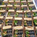 퇴계원읍종합행정타운 | [퇴계원읍 종합행정타운 주민자치센터]45인분 배달 완료