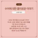 하나언어 네이버블로그