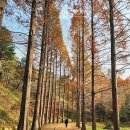 금강수목원아파트 이미지