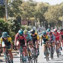 리퍼마켓 당근번개 이미지