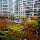 하이츠공인중개사사무소 이미지