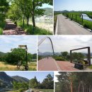 자전거 가족 이미지