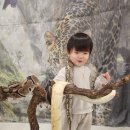 가온어린이집 - 논산시 | 어린이집 찾아오는 동물원 후기 ｜뱀🐍 체험에 깜짝! 키즈노트 보고 심쿵 했던 순간🫨