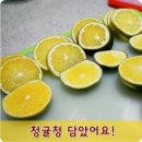 게리꼬
