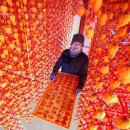 지리산곰실곶감농원 이미지