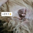 위케어동물의료센터 이미지