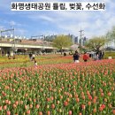 화명생태공원(화명운동장 내) 이미지