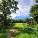 영익모터스 이미지