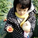 덕산기 농장 이미지