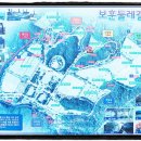 초록잎새 이미지