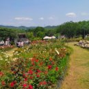 성호어린이공원 이미지