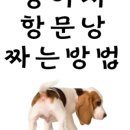 유앤아이동물병원 - 전주시 완산구 온고을로 102 | 유앤아이동물병원