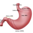 청라호수동물메디컬센터 이미지