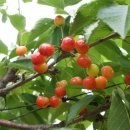 기남농장 이미지