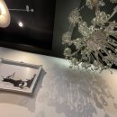 방배천로 155 이미지