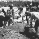 형제자원 이미지