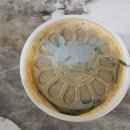 장수골 흑염소 이미지