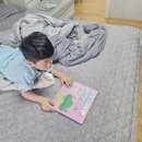 도란도란 책놀이(7세) | 초등 교과서 수록작 '브로콜리지만 사랑받고 싶어' 생생 독후활동 3가지 후기