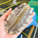 장흥우체국 | [공지] [남도장터 후기] 완도 활전복 특대복 6~7미 2kg