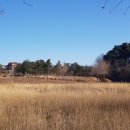 가원습지생태자연공원 이미지