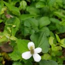 수왕사 약수터 이미지